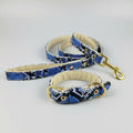 Ensemble collier laisse chic en cuir à motif serpent bleu avec boucle et attache dorées