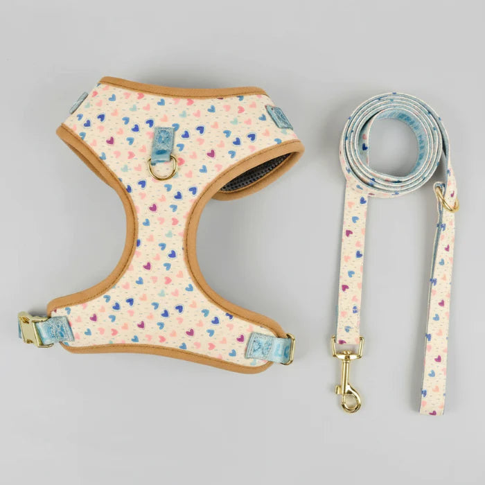 Ensemble harnais et laisse chien Oscar et Plume avec motifs colorés et finitions en tissu beige