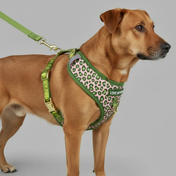 Ensemble Harnais Et Laisse Pour Chien