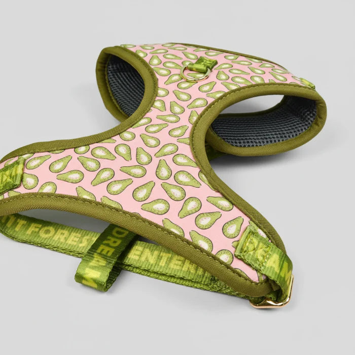 Ensemble Harnais Et Laisse Pour Chien