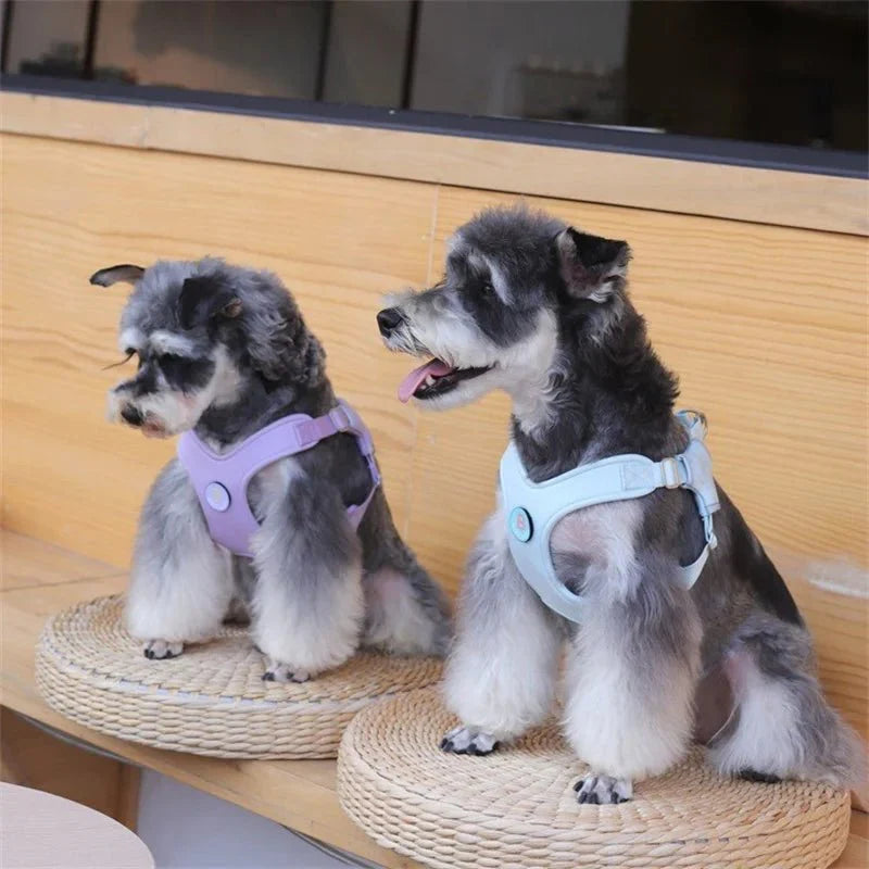Harnais et laisse réglable pour chien - Ensemble complet