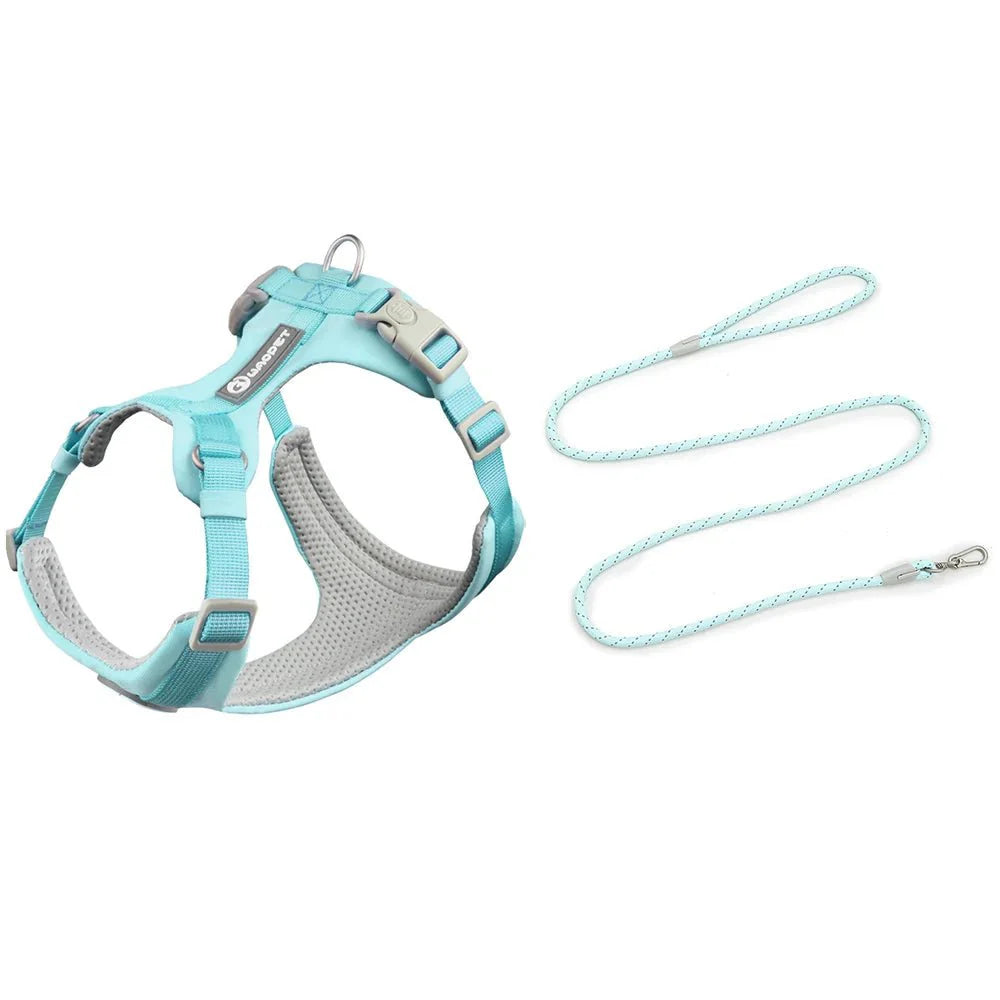 Ensemble harnais et laisse bleu clair respirant et réglable pour chien de la marque Oscar et Plume