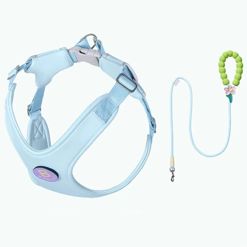 Ensemble harnais et laisse bleu clair pour chien avec poignée confortable et attaches réglables
