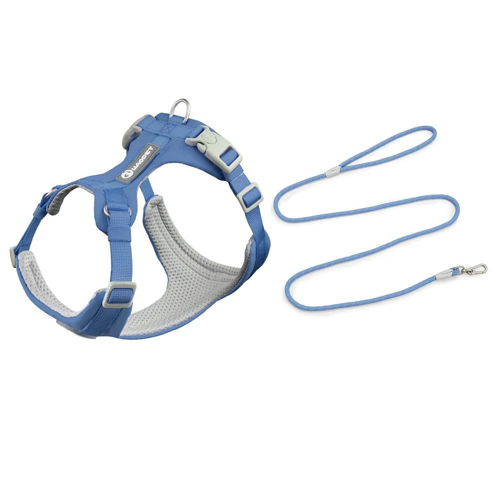 Ensemble harnais et laisse bleu pour chien avec rembourrage confortable Oscar et Plume