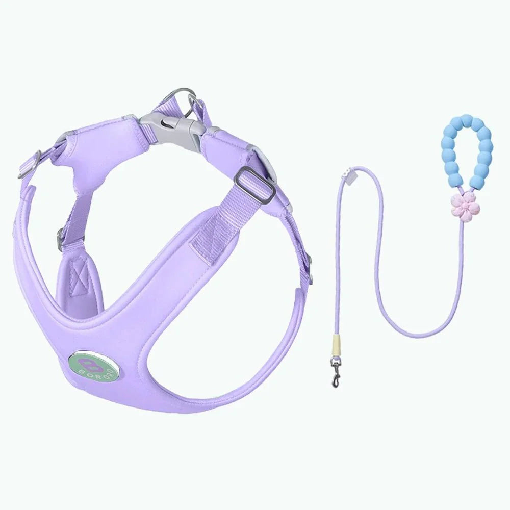 Ensemble harnais et laisse violet pour chien avec poignée perles bleues et fleur rose de Oscar et Plume