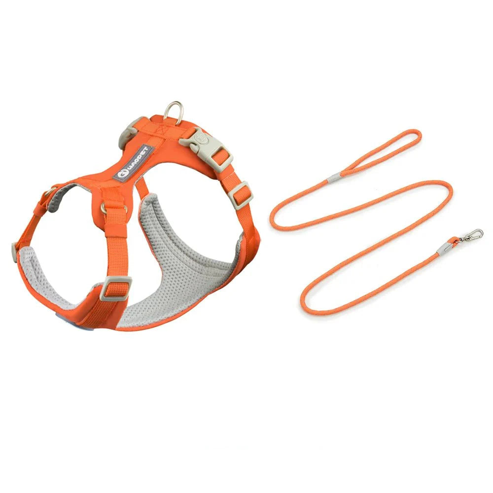 Ensemble harnais et laisse orange pour chien avec réglages ajustables et rembourrage confortable