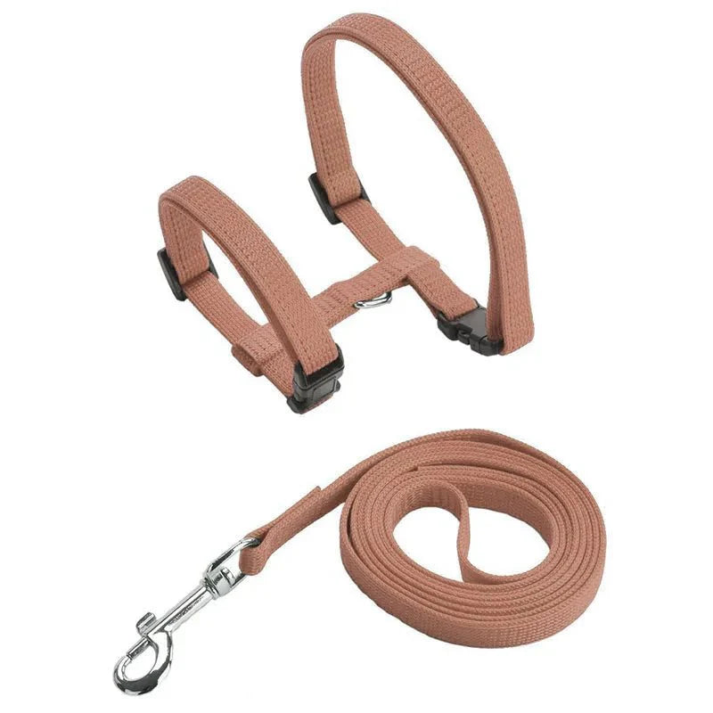 Ensemble harnais et laisse pour chien couleur marron clair avec fermeture réglable Oscar et Plume