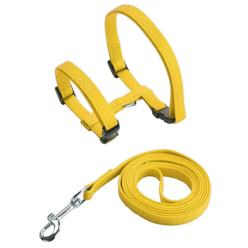 Ensemble harnais et laisse pour chien jaune de la marque Oscar et Plume, nylon résistant et fermeture ajustable