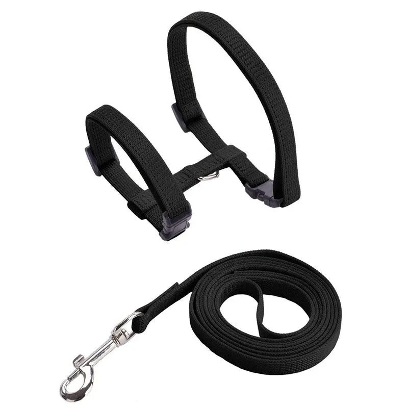 Ensemble harnais et laisse pour chien en nylon noir réglable pour promenade confortable