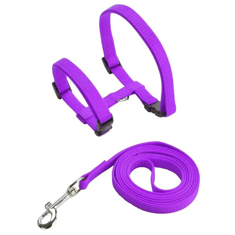 Ensemble harnais et laisse pour chien violet en nylon avec boucle ajustable Oscar et Plume