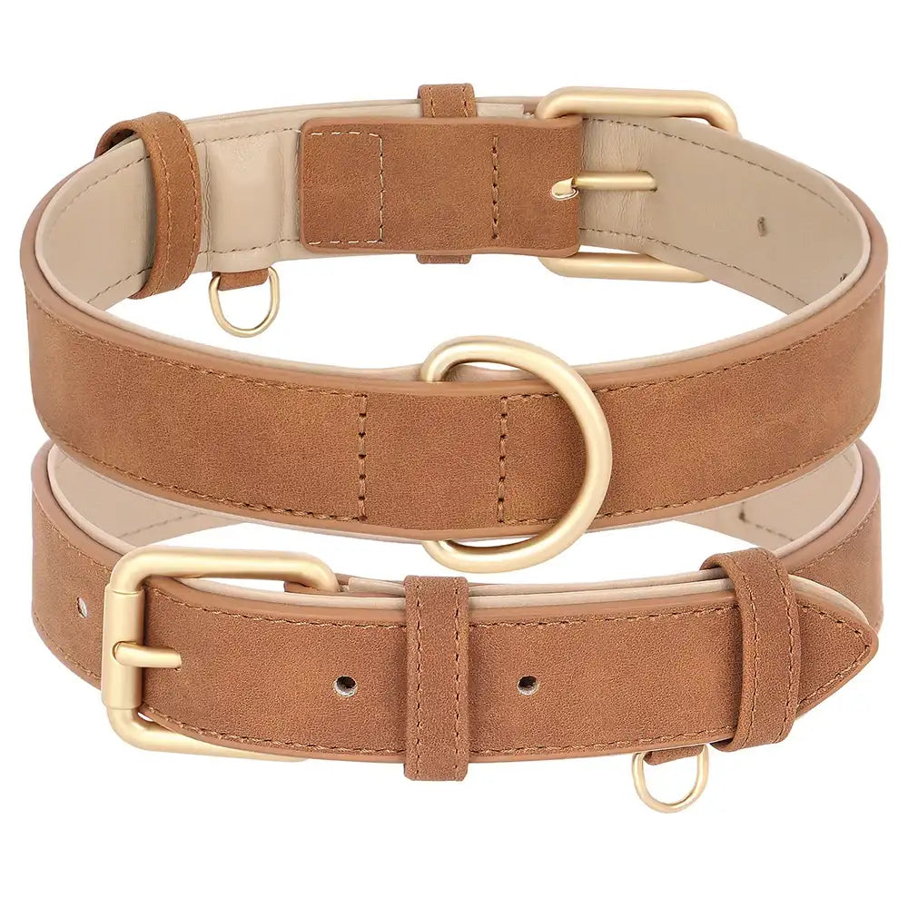 Ensemble laisse et collier chien en cuir marron avec boucles dorées élégantes