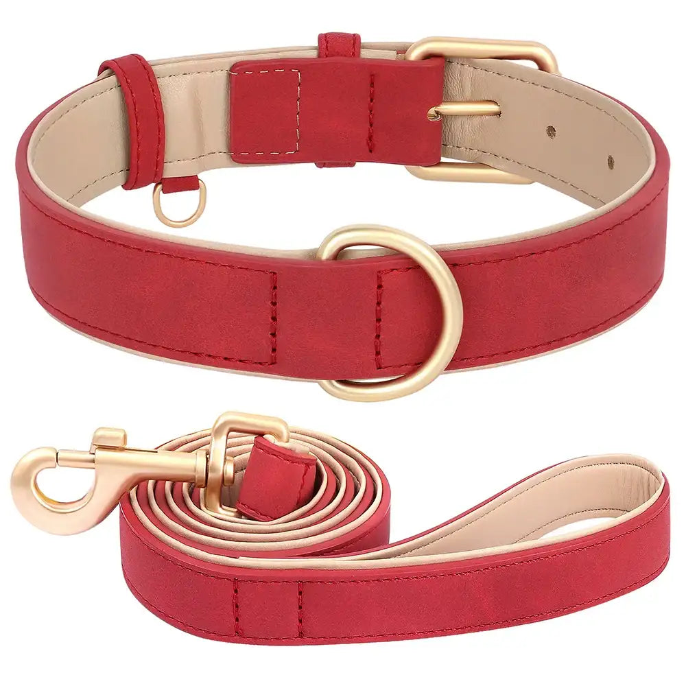Ensemble laisse et collier chien en cuir rouge avec boucle dorée pour promener votre animal