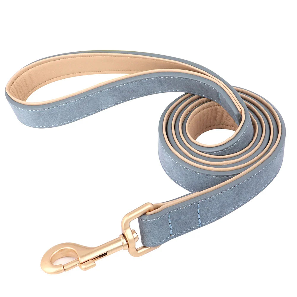 Ensemble laisse et collier chien en cuir bleu avec finitions dorées pour un look élégant