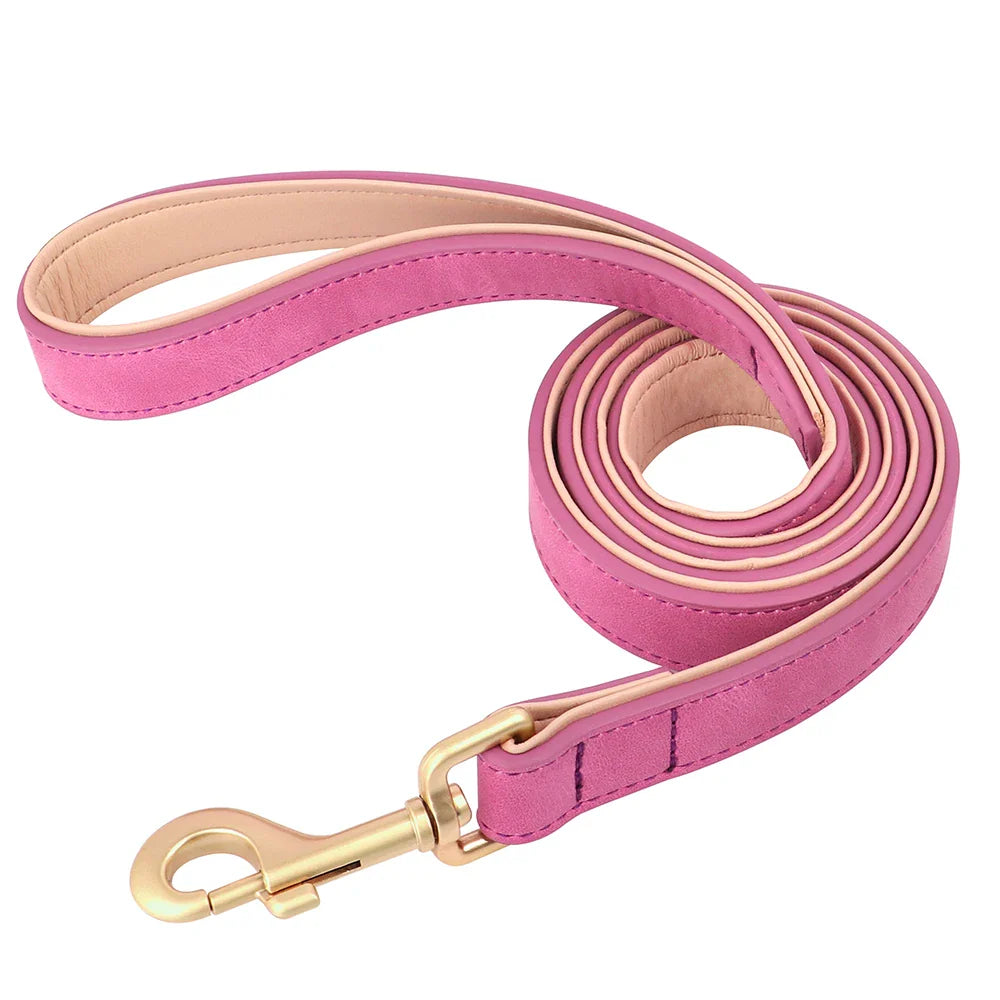 Ensemble laisse et collier chien en cuir rose avec finition dorée pour les promenades élégantes