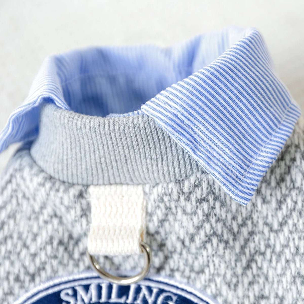 Ensemble Sweat Chemise Pour Petit Chien