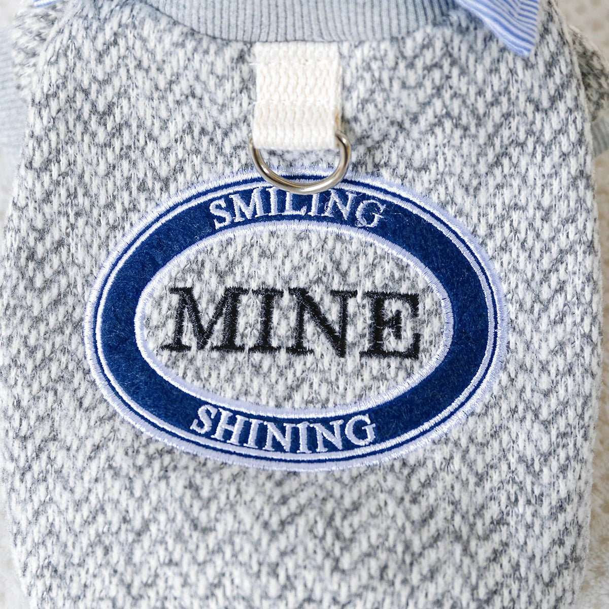 Ensemble Sweat Chemise Pour Petit Chien