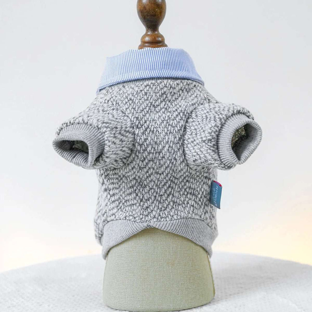 Ensemble Sweat Chemise Pour Petit Chien