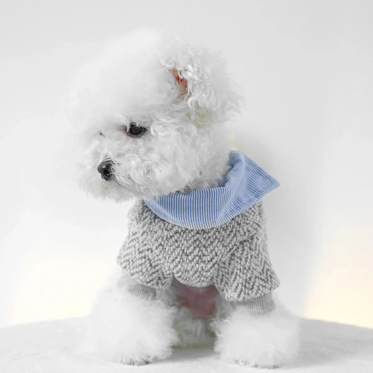 Ensemble Sweat Chemise Pour Petit Chien