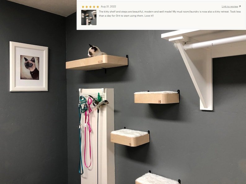 Étagère Murale Pour Chat Design