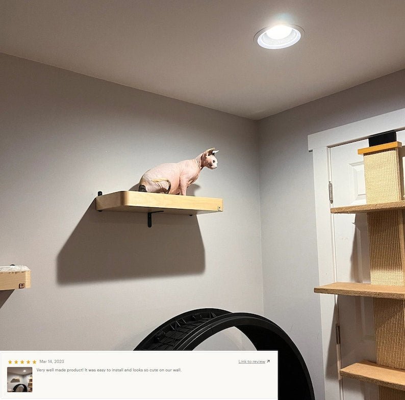 Étagère Murale Pour Chat Design
