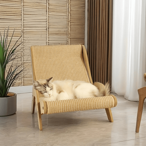 fauteuil pour chat griffoir