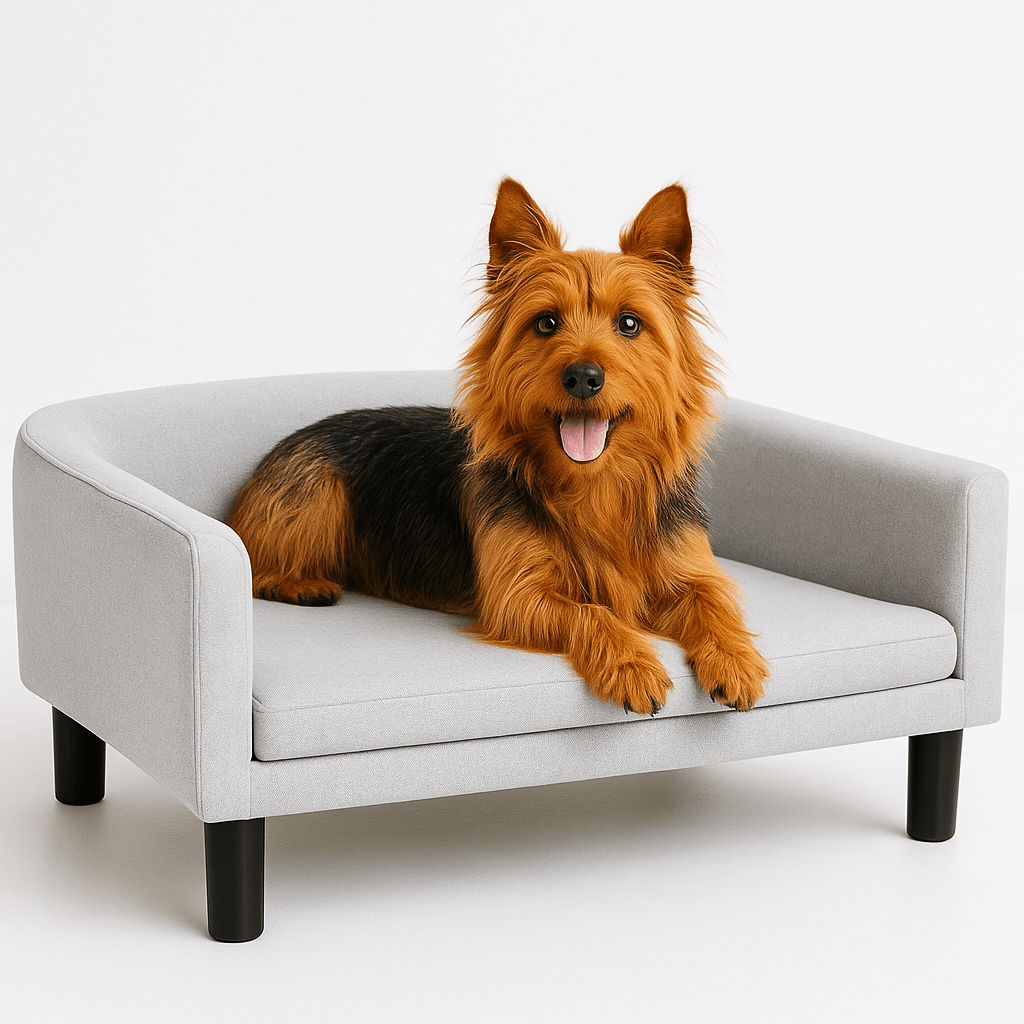 Fauteuil pour chien - DesignToutou™