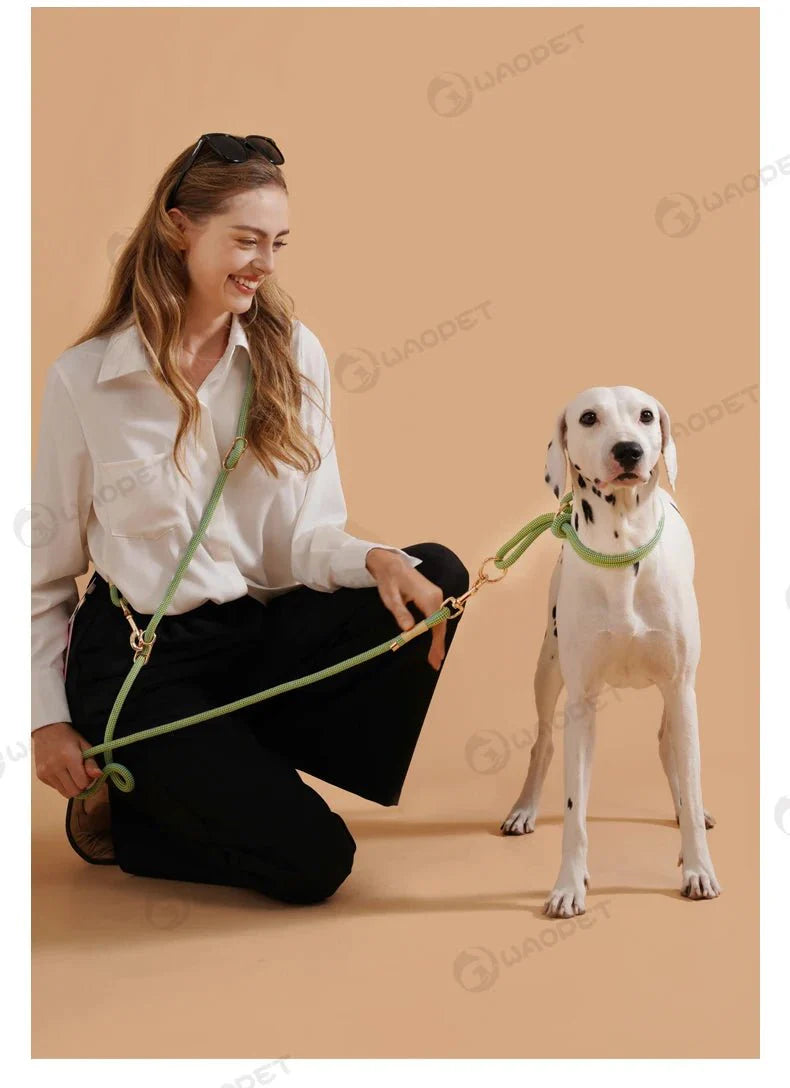 Laisse Mains Libres Multi Fonctions Pour Chien