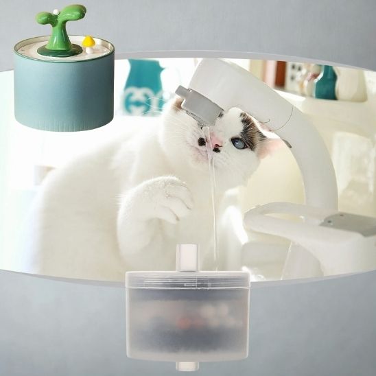 Filtre fontaine chat Céram'Oasis