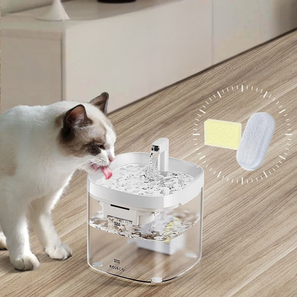 filtre fontaine chat | O'SAINE