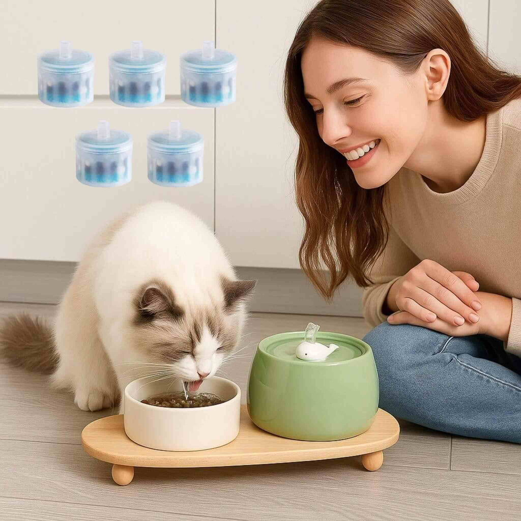filtre fontaine chat AquaCéramique