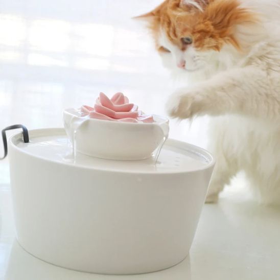 FONTAINE A EAU CHAT CERAMIQUE | Harmonie Féline