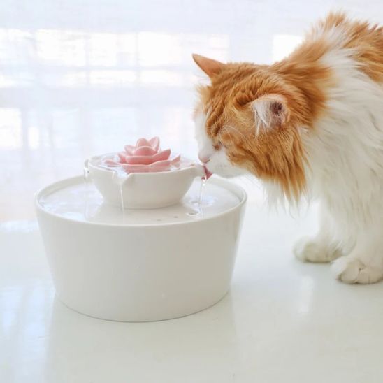 FONTAINE A EAU CHAT CERAMIQUE | Harmonie Féline
