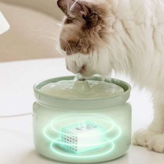 FONTAINE A EAU CHAT CERAMIQUE | Céram’Fraîcheur