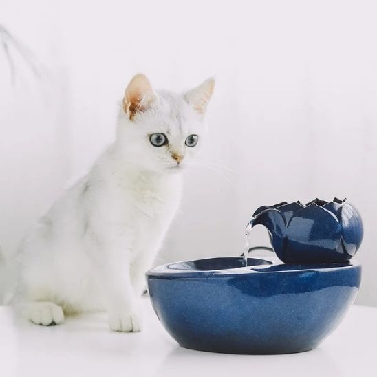 Fontaine à eau chat céramique | Zen Félin