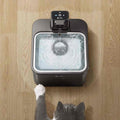 fontaine-a-eau-chat-coupelle-acier-noir