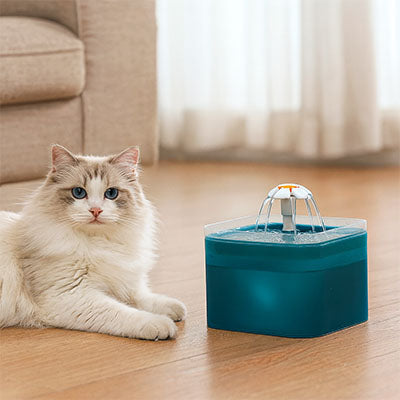 fontaine à eau chat | FONTAINE FLEUR CAT
