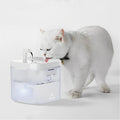 fontaine a eau chat | TRANSPARENT WATER