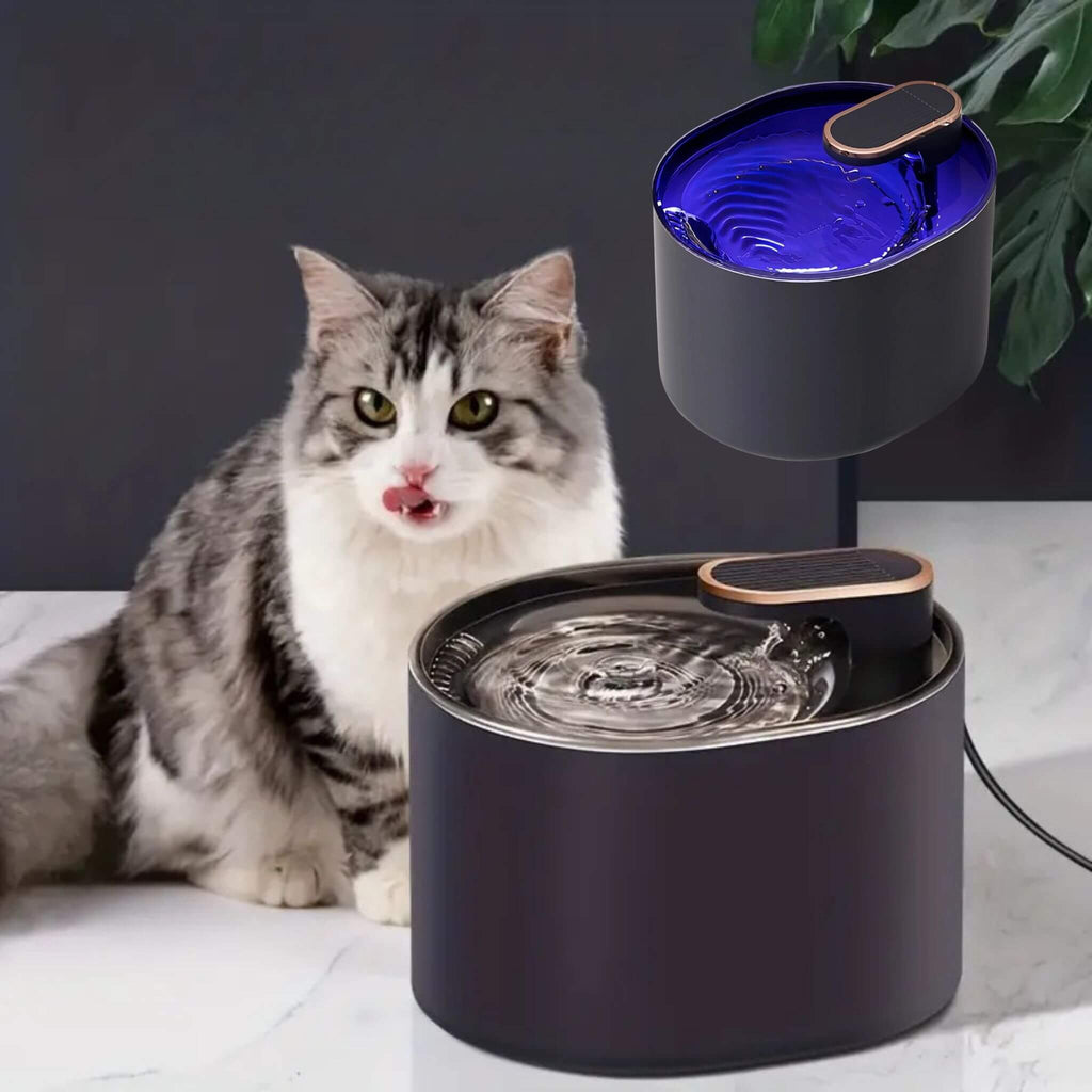 FONTAINE A EAU POUR CHAT | AquaPurr
