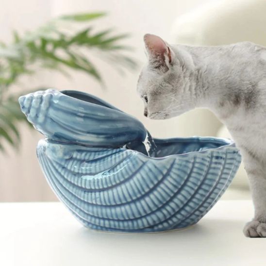 FONTAINE A EAU POUR CHAT CERAMIQUE | Coquillage