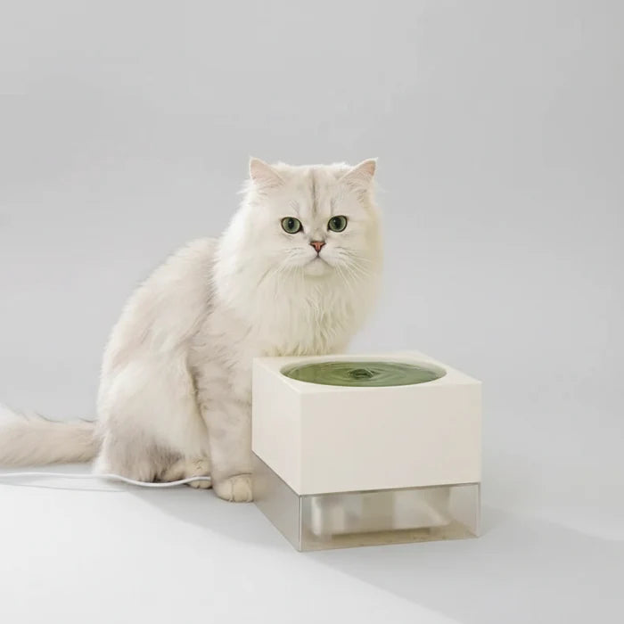 Fontaine Design Et Durable Pour Chat