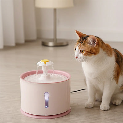 fontaine à eau pour chat | Fontaine Féline