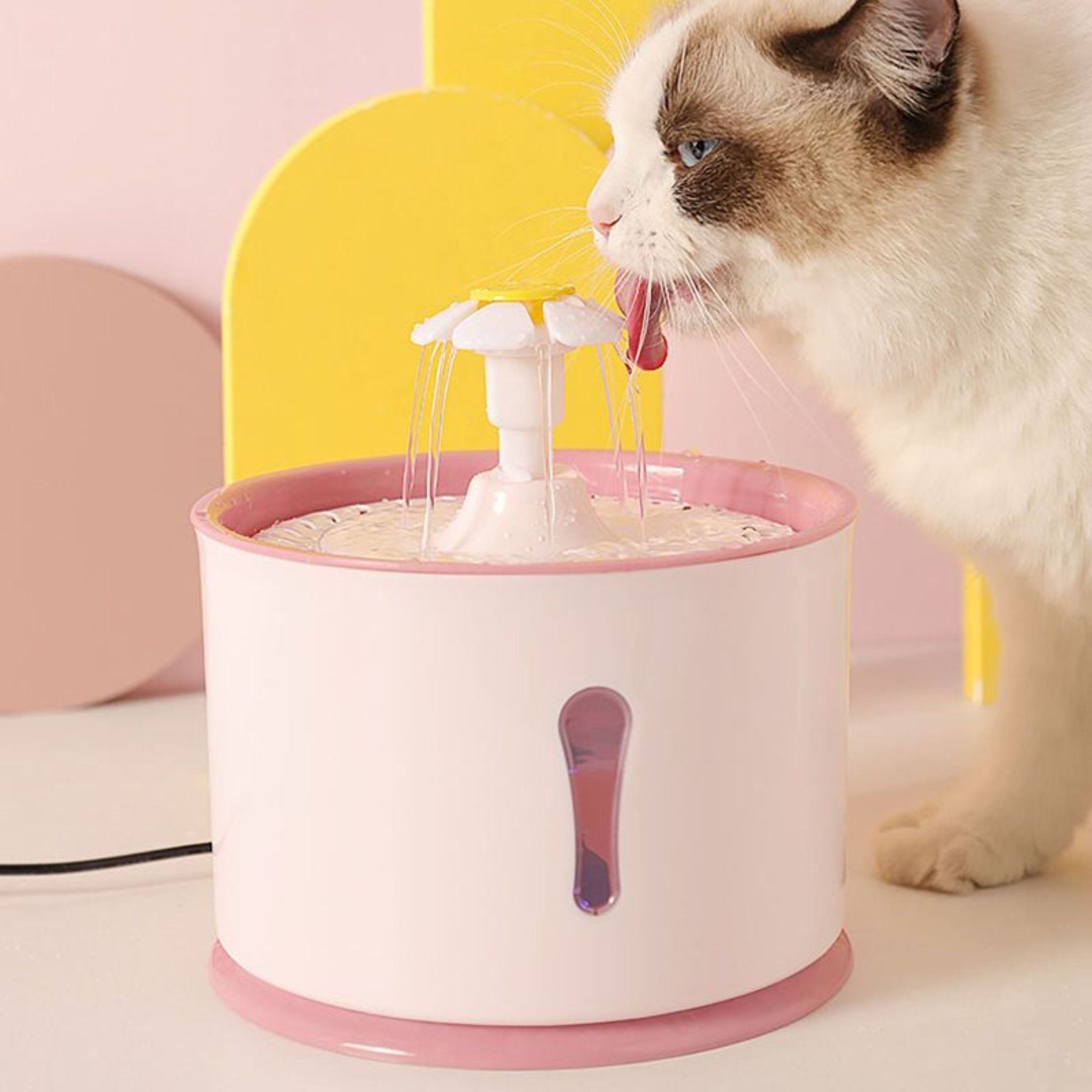 fontaine-à-eau-pour-chat-féline-rose