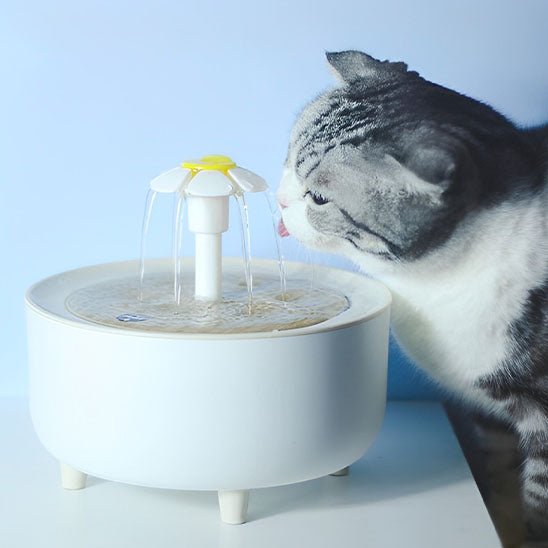 fontaine à eau pour chat | HEALTHY WATER