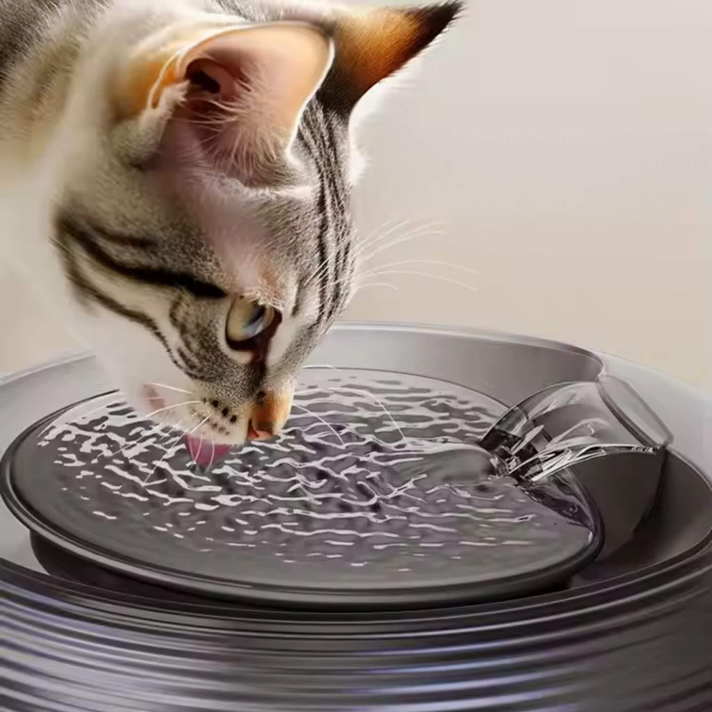 FONTAINE A EAU POUR CHAT | CatCascade