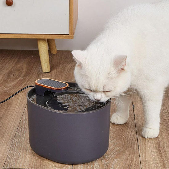 FONTAINE A EAU POUR CHAT | AquaPurr