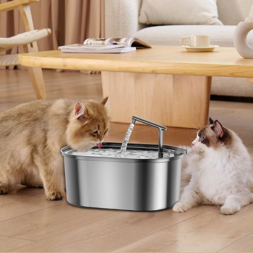 fontaine à eau pour chat | INOX FONTAINE