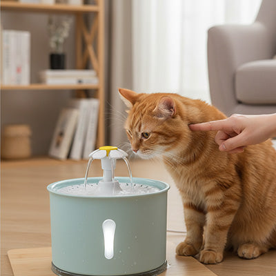 fontaine à eau pour chat | Fontaine Féline