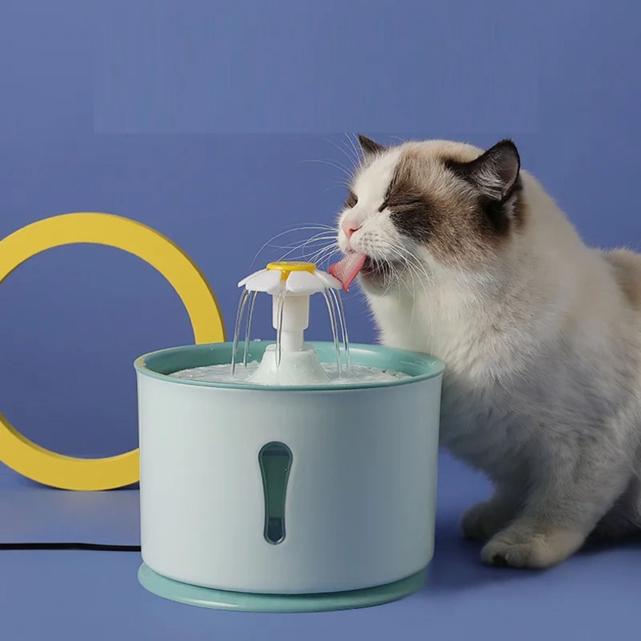 fontaine-à-eau-pour-chat-vert