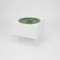 Fontaine Design Et Durable Pour Chat