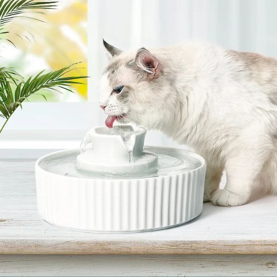 FONTAINE CHAT CERAMIQUE | Faïence Féline